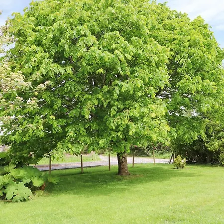 Hillgrove House Hotel 3*