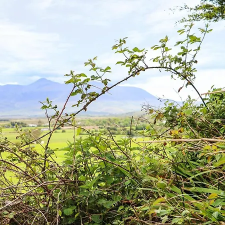 Hillgrove House Hotel 3*